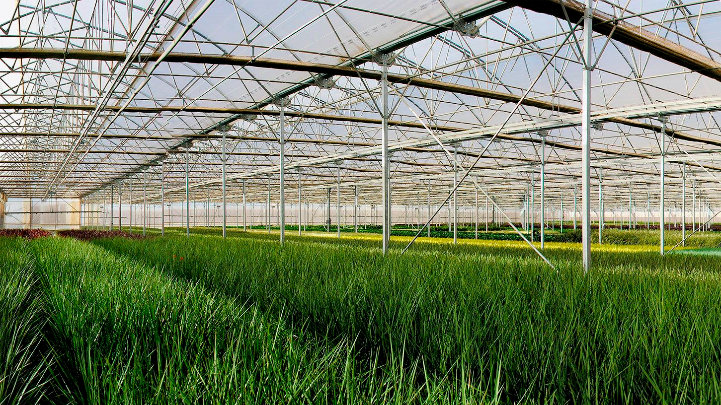J. Huete International participa en un proyecto para desarrollar un nuevo sistema agrovoltaico en invernaderos