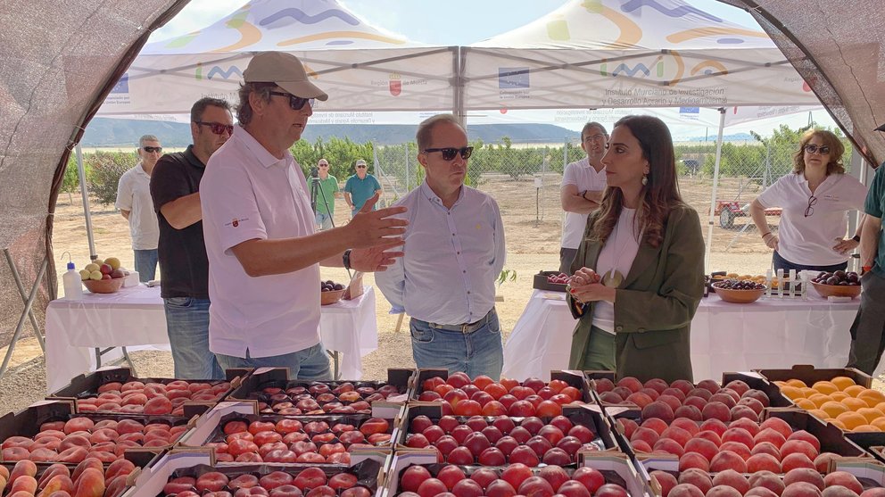 La consejera Sara Rubira en la visita a la finca experimental Frutimida donde se han desarrollado las nuevas variedades de fruta de hueso del programa de mejora genética del Imida.