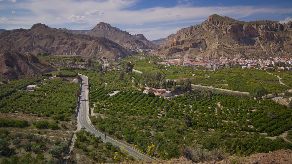 Las reservas estuvieron asociadas principalmente al segmento rural y de naturaleza. (Vista del Valle de Ricote. Imagen de Sergio González).