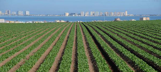 Agricultura en el Mar Menor.