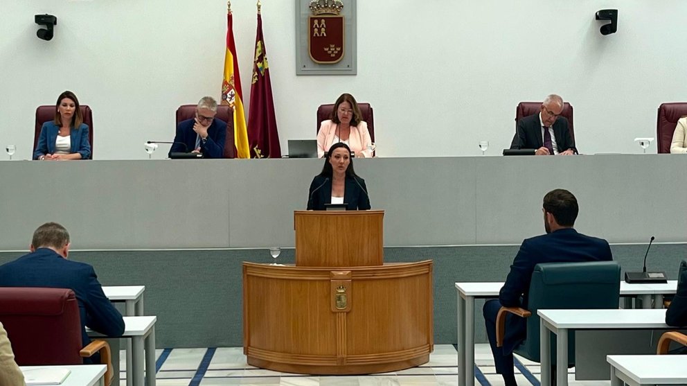 Un momento de la intervención de la consejera de Turismo, Carmen Conesa, ante el Pleno de la Asamblea.