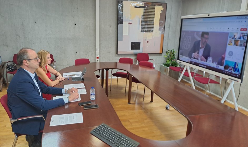 El consejero de Empleo, Víctor Marín, y la directora del SEF, Marisa López, participaron de forma telemática en la  LXXXV Conferencia Sectorial de Empleo y Asuntos Laborales.