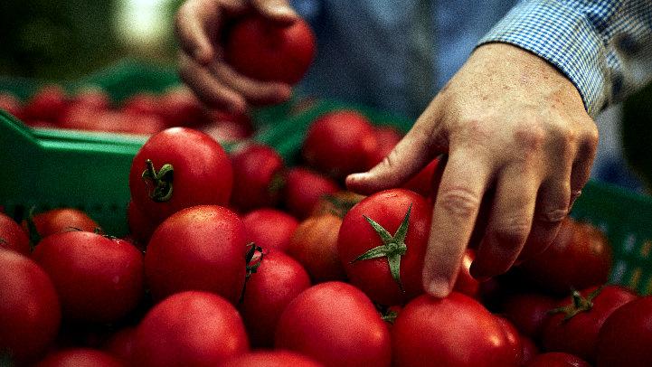 Alvalle celebra el Día Mundial del Gazpacho con respeto y tradición