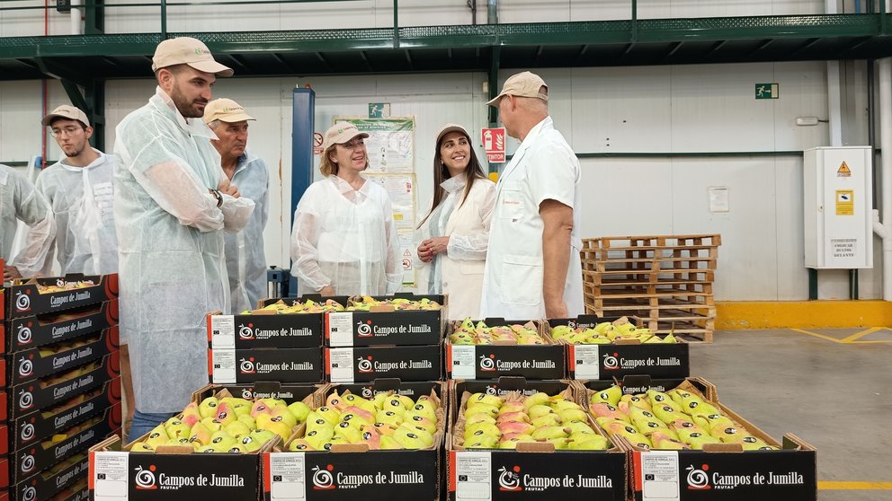 La consejera de Agricultura, Sara Rubira, en la cooperativa Campos de Jumilla donde preparan pera de la DOP Pera de Jumilla.