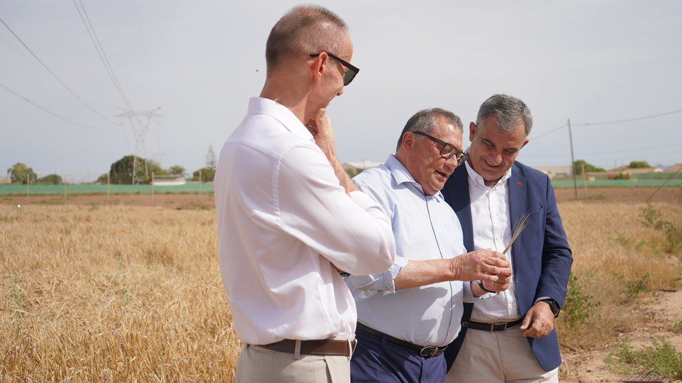 Imagen de la visita a la Estación Experimental Agroalimentaria Tomás Ferro del rector de la UPCT, Mathieu Kessler, el consejero de Medio Ambiente, Universidades, Investigación y Mar Menor, Juan María Vázquez, y el presidente de la Fundación Estrella Levante, Ramón Agenjo.