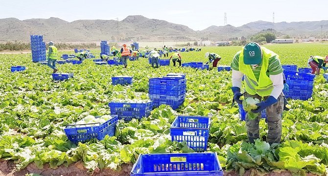 Imagen del sector agroalimentario. (Archivo)