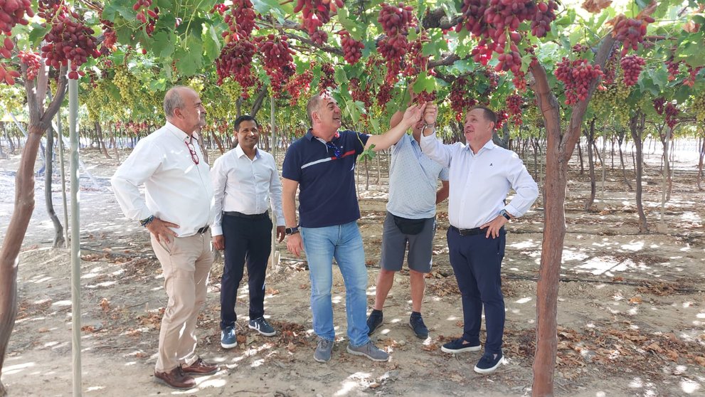 El director del IMIDA, Andrés Martínez, y el secretario general de la Consejería de Agricultura, Francisco González,  muestran a importadores internacionales las nuevas variedades de uva de mesa.