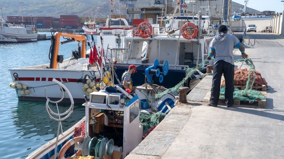 Imagen de archivo de pescadores en la Cofradía del puerto de Cartagena.