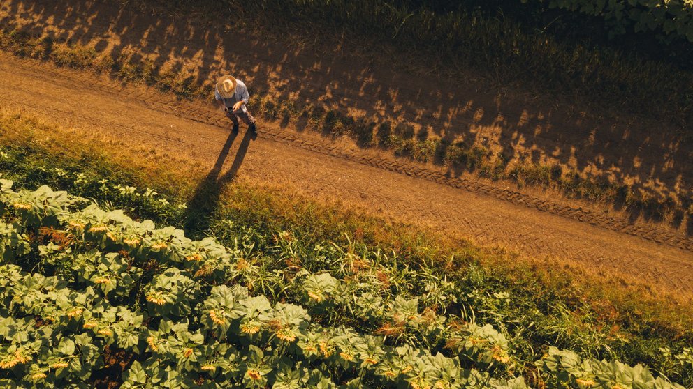 Trabajador en el campo.