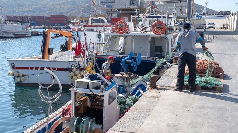 Imagen de archivo de pescadores en la Cofradía del Puerto de Cartagena.