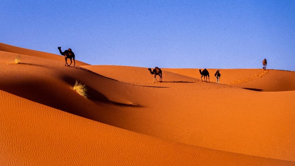 Desierto en Marruecos.