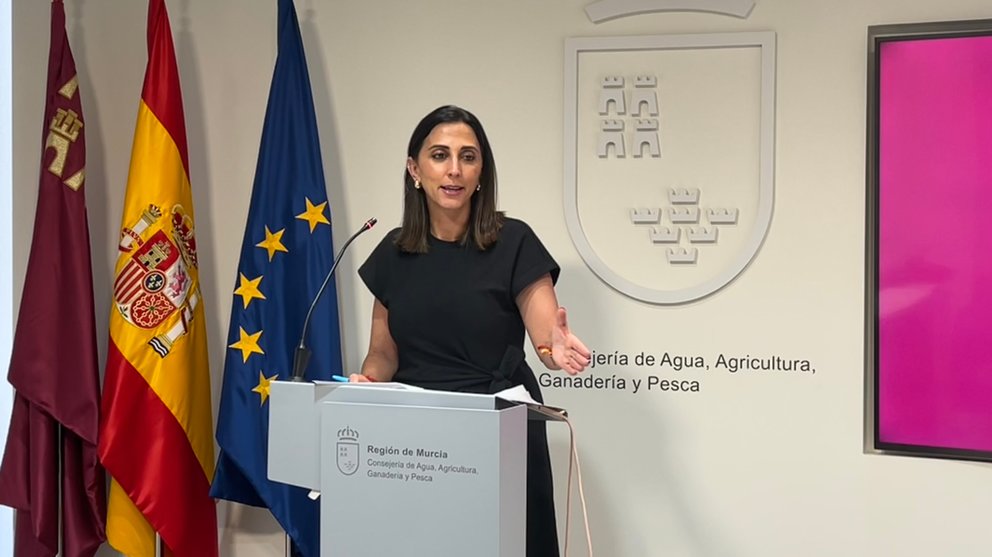 Imagen de la consejera Sara Rubira en la rueda de prensa previa a la celebración de la Conferencia Sectorial.