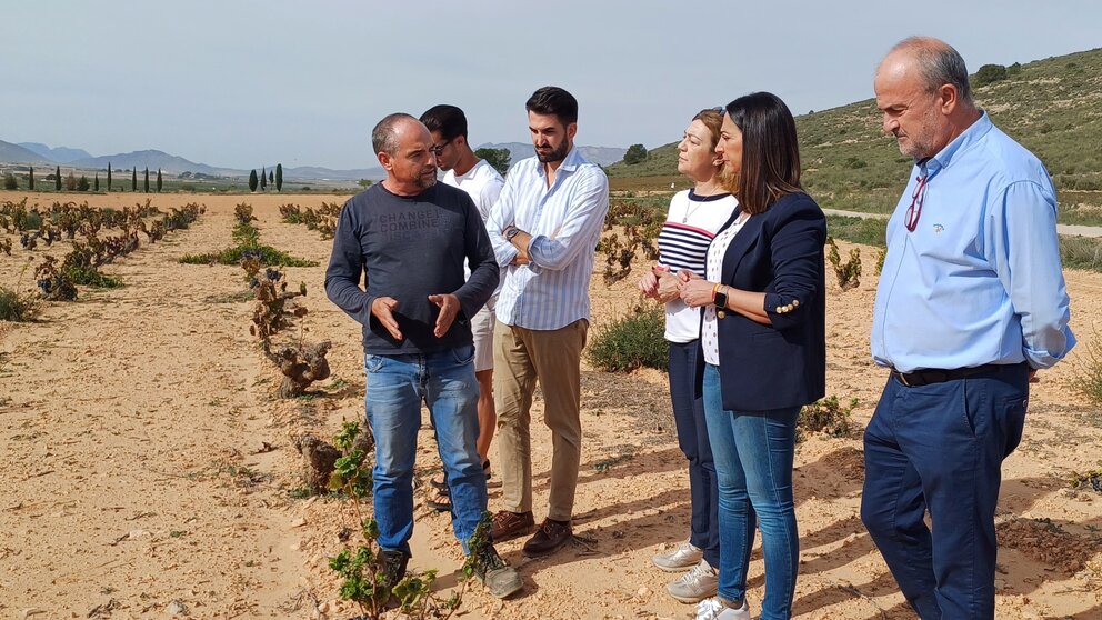 La consejera Sara Rubira visita un cultivo de viñedo en Jumilla.