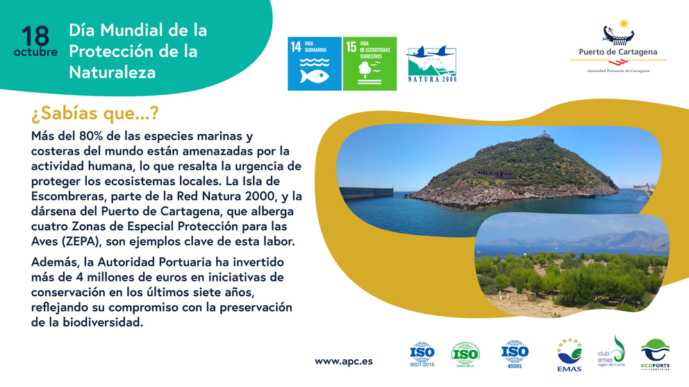 Cartel del Día Mundial de la Protección de la Naturaleza.