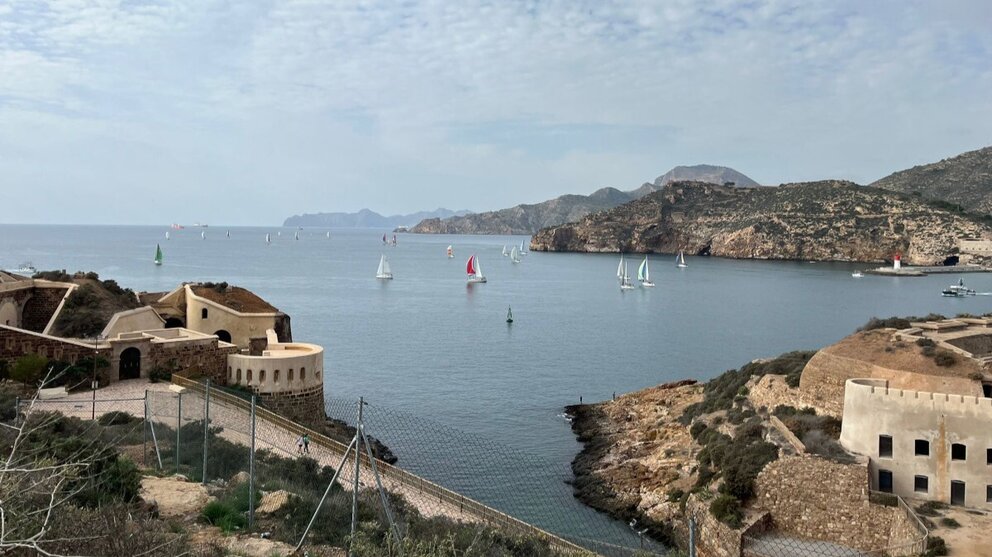 Evento deportivo de Vela en el Puerto de Cartagena. (Ayuntamiento de Cartagena)