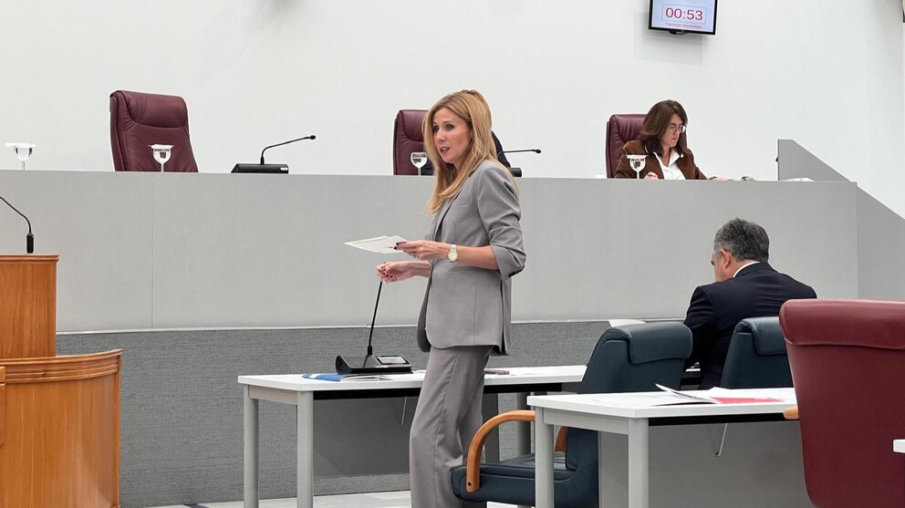 La consejera de Empresa, Marisa López, en la Asamblea Regional. (CARM)