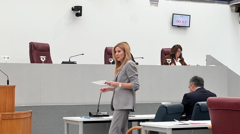 La consejera de Empresa, Marisa López, en la Asamblea Regional. (CARM)