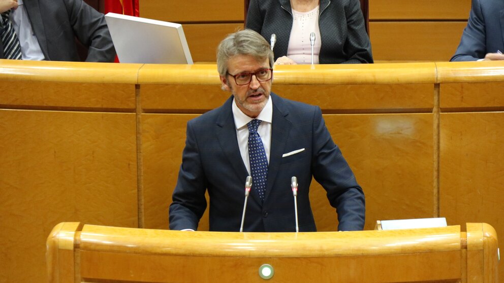 Un momento de la intervención en el Senado del consejero de Economía, Luis Alberto Marín. (CARM)