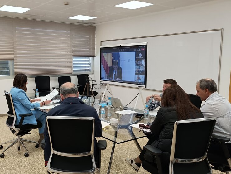 La  consejera Sara Rubira durante la reunión realizada por videoconferencia.