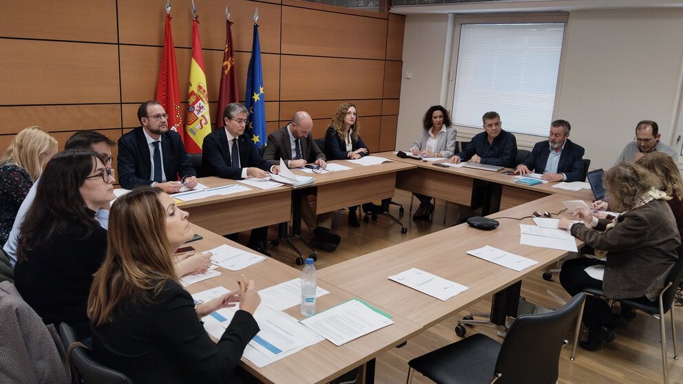 Reunión de la Mesa DTI de Murcia. (Ayuntamiento de Murcia)