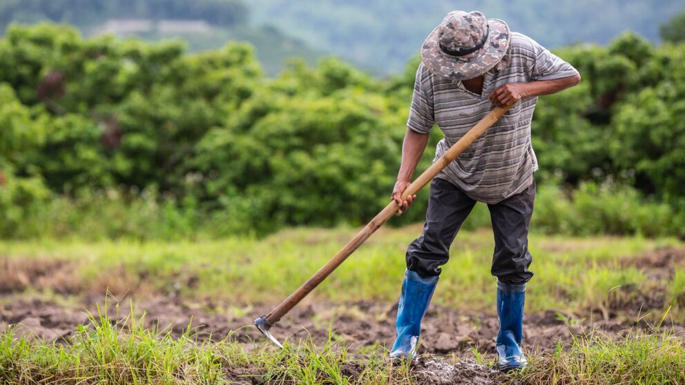 Un trabajador en el campo. (Freepik)