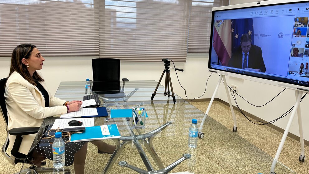 La consejera Sara Rubira participa en el Consejo Consultivo de Política Agrícola de forma telemática. (CARM)