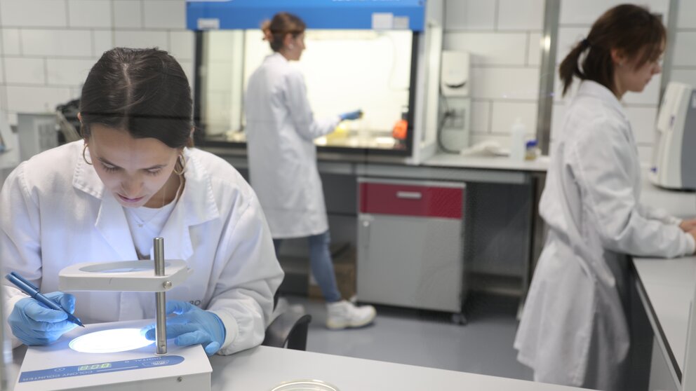 Las doctorandas de la UPCT Natalia Rodríguez y Elisa Orcajada, junto a Laura Casas, realizando ensayos en el laboratorio. (UPCT)