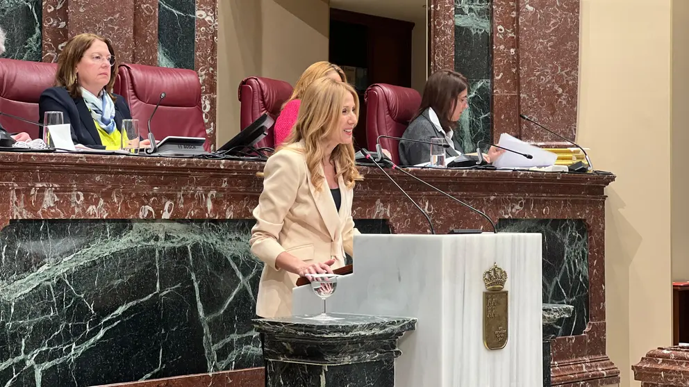 La consejera de Empresa, Empleo y Economía Social, Marisa López Aragón, durante su comparecencia de hoy en la Asamblea Regional. (CARM)