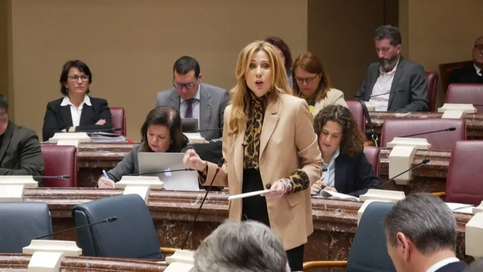 La consejera de Empresa, Empleo y Economía Social, Marisa López Aragón, durante su intervención de este viernes en la Asamblea Regional. (CARM)