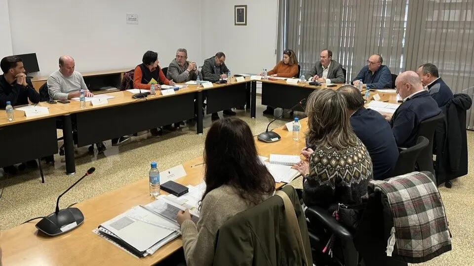 El director general de Industria Alimentaria y Asociacionismo Agrario, Fulgencio Pérez, preside la Mesa del Vino. (CARM)