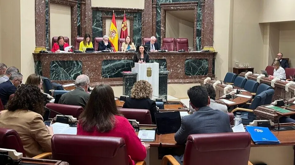 La consejera de Turismo, Carmen Conesa, durante su intervención en la Asamblea Regional. (CARM)