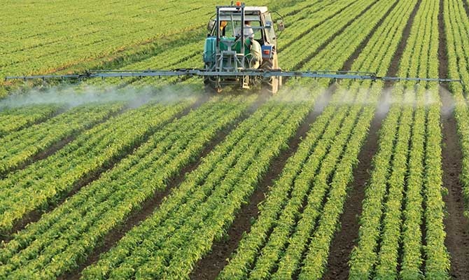 Agricultura y ganandería